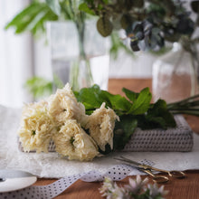 画像をギャラリービューアに読み込む, 唯一無二の品種|クニエダのバラ「オール4キュート+」【3営業日以降に発送】