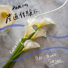 画像をギャラリービューアに読み込む, 【初めての産直体験に】カラー|ウェディングマーチ 5本