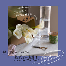 画像をギャラリービューアに読み込む, 【造形美を堪能する】カラー|ウェディングマーチ 10本