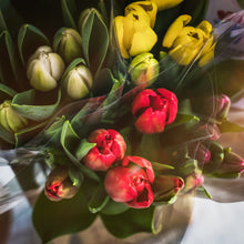 画像をギャラリービューアに読み込む, 週末にお届け!新潟のチューリップmix