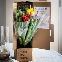 画像をギャラリービューアに読み込む, 週末にお届け!新潟のチューリップmix