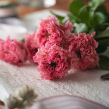 画像をギャラリービューアに読み込む, 唯一無二の品種|クニエダのバラ「オール4キュート+」【3営業日以降に発送】