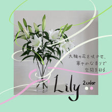 画像をギャラリービューアに読み込む, 新潟のオリエンタルユリ【発送日目安:3~5営業日】