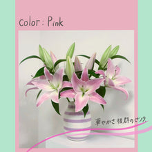 画像をギャラリービューアに読み込む, 新潟のオリエンタルユリ【発送日目安:3~5営業日】