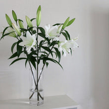 画像をギャラリービューアに読み込む, 【期間限定・10月下旬頃まで】新潟のオリエンタルユリ+チューリップの球根セット