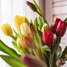 画像をギャラリービューアに読み込む, 週末にお届け!新潟のチューリップmix