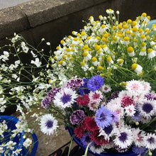 画像をギャラリービューアに読み込む, 【自然派のあなたへ】オーガニックフラワー|おまかせ(M)