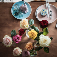 画像をギャラリービューアに読み込む, 随一の品質を体験|クニエダのバラmix【3営業日以降に発送】