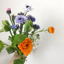 画像をギャラリービューアに読み込む, 【自然派のあなたへ】オーガニックフラワー|おまかせ(M)