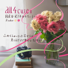 画像をギャラリービューアに読み込む, 唯一無二の品種|クニエダのバラ「オール4キュート+」【3営業日以降に発送】