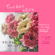 画像をギャラリービューアに読み込む, 唯一無二の品種|クニエダのバラ「オール4キュート+」【3営業日以降に発送】