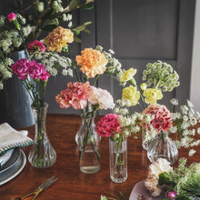 画像をギャラリービューアに読み込む, キャンディカラーが可愛い|菅井園芸のカーネーションmix