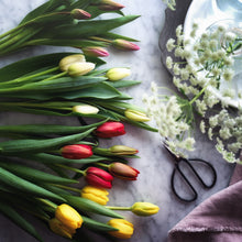 画像をギャラリービューアに読み込む, 週末にお届け!新潟のチューリップmix