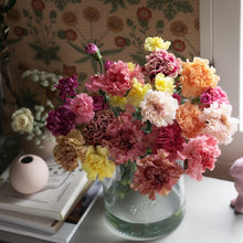 画像をギャラリービューアに読み込む, キャンディカラーが可愛い|菅井園芸のカーネーションmix