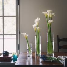 画像をギャラリービューアに読み込む, 【造形美を堪能する】カラー|ウェディングマーチ 10本